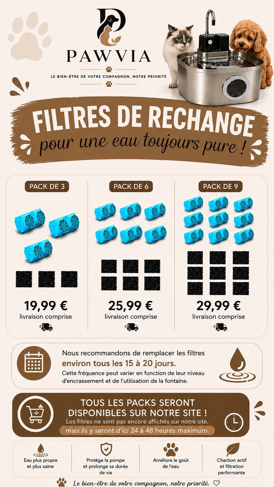Filtres de Rechange pour Fontaine Pawvia