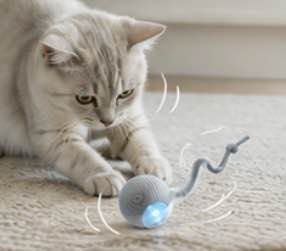Balle Interactive Pawvia™ | Jouet Intelligent Rechargeable pour Chat